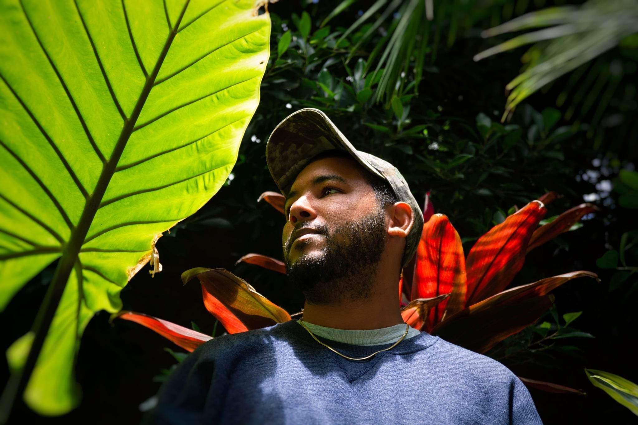 零支持者的众筹谜案：一场无人问津的音乐支持计划