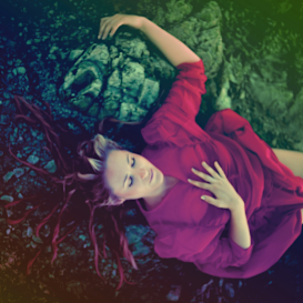 一场无人支持的众筹：Dream Songs 零支持者之谜