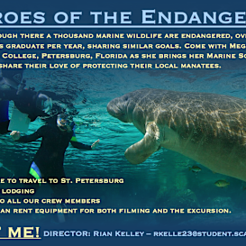 一场零支持者的“成功”众筹：为何2,326美元目标达成却无人买单？