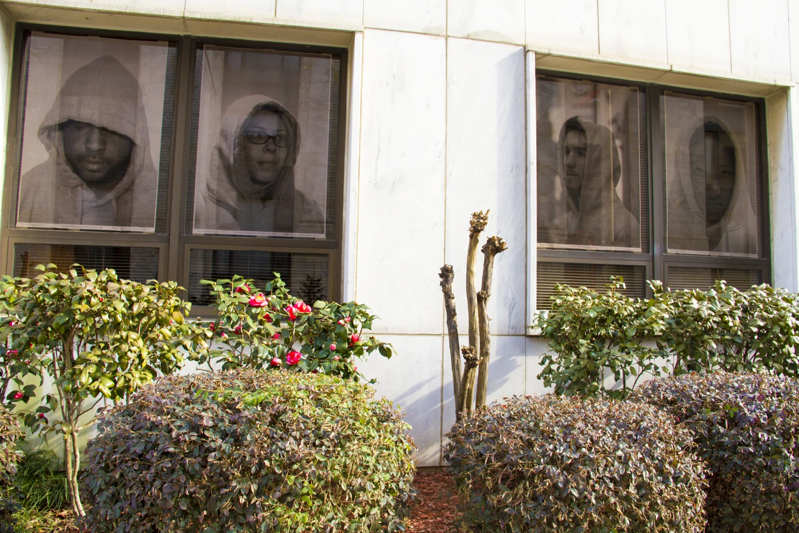 一场无人问津的摄影书众筹：70美元目标背后的警示