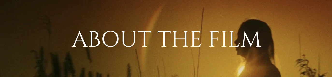 一场无人响应的文化对话：为何这部获奖团队短片众筹零支持？