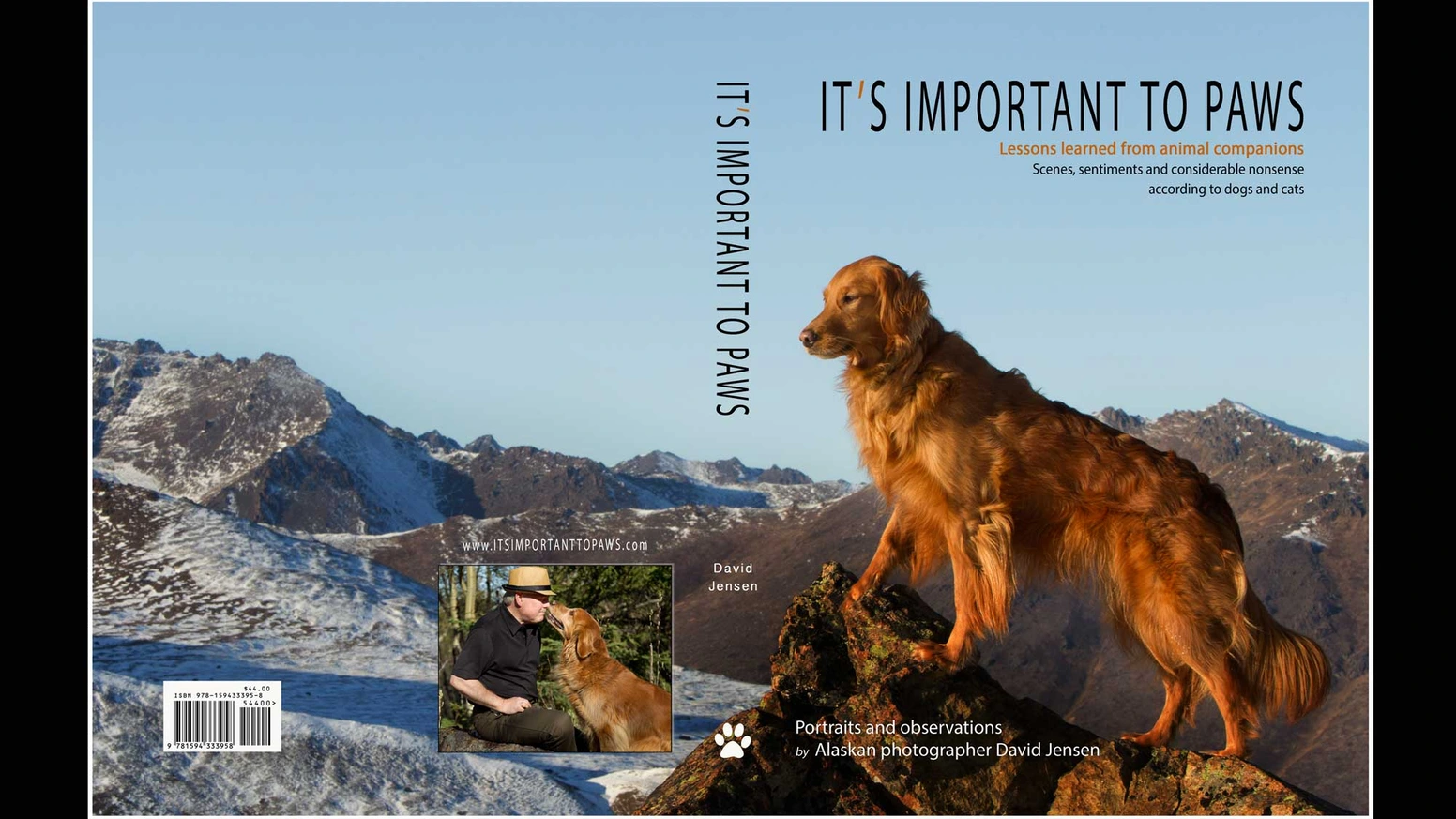 一本宠物摄影集如何用283人筹得2.7万美元