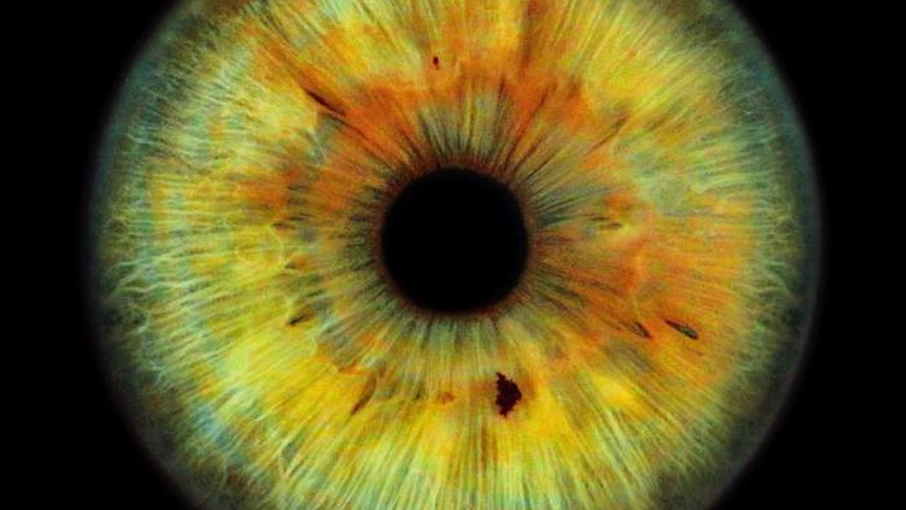 72位支持者，为一张专辑豪掷1.1万美元