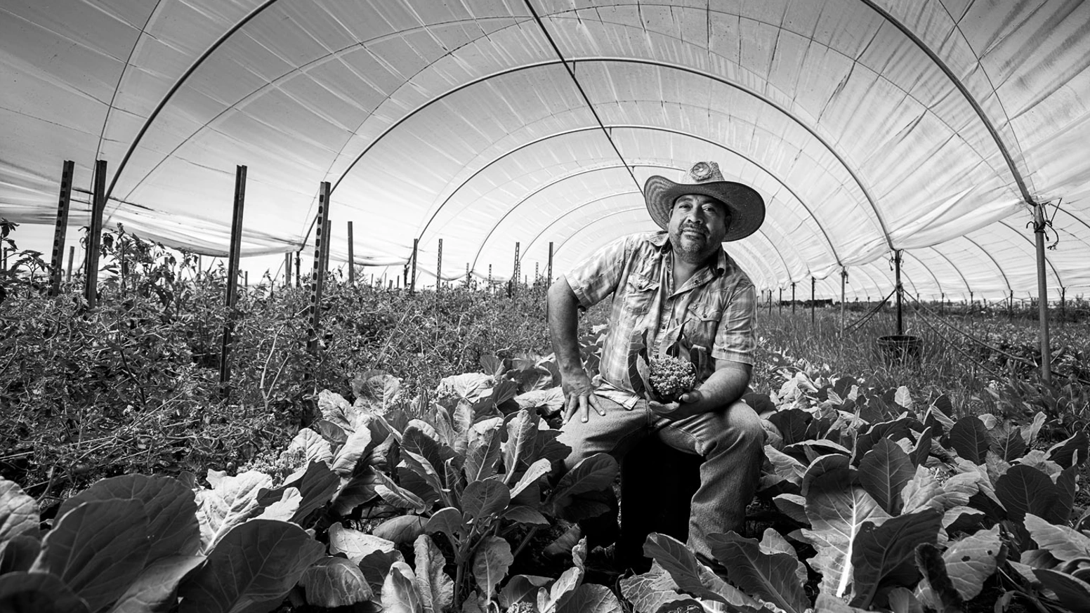 一本摄影集如何讲述188个美国移民故事并筹得3.7万美元