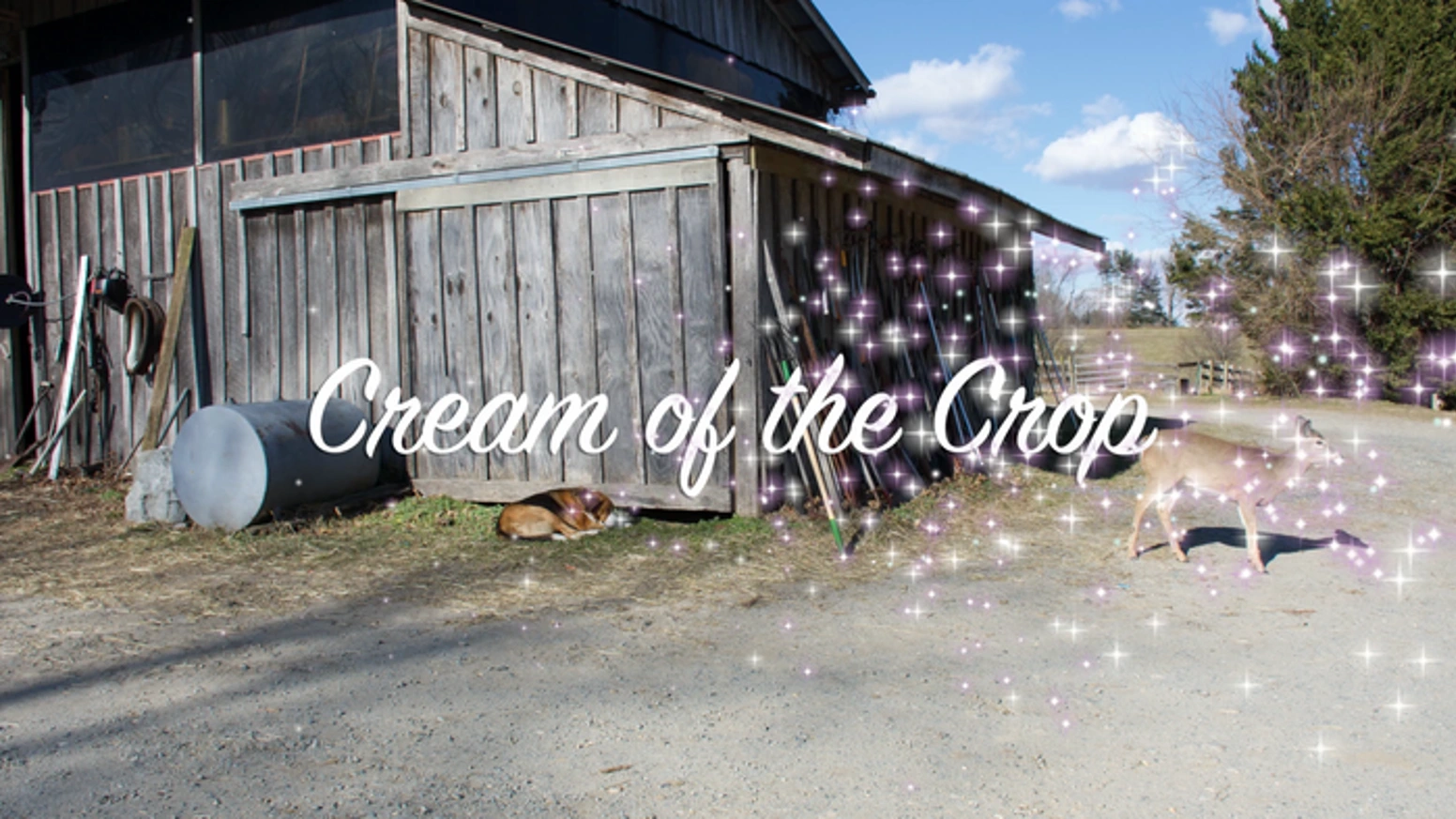 55位支持者，如何为一部电影众筹5万美元？