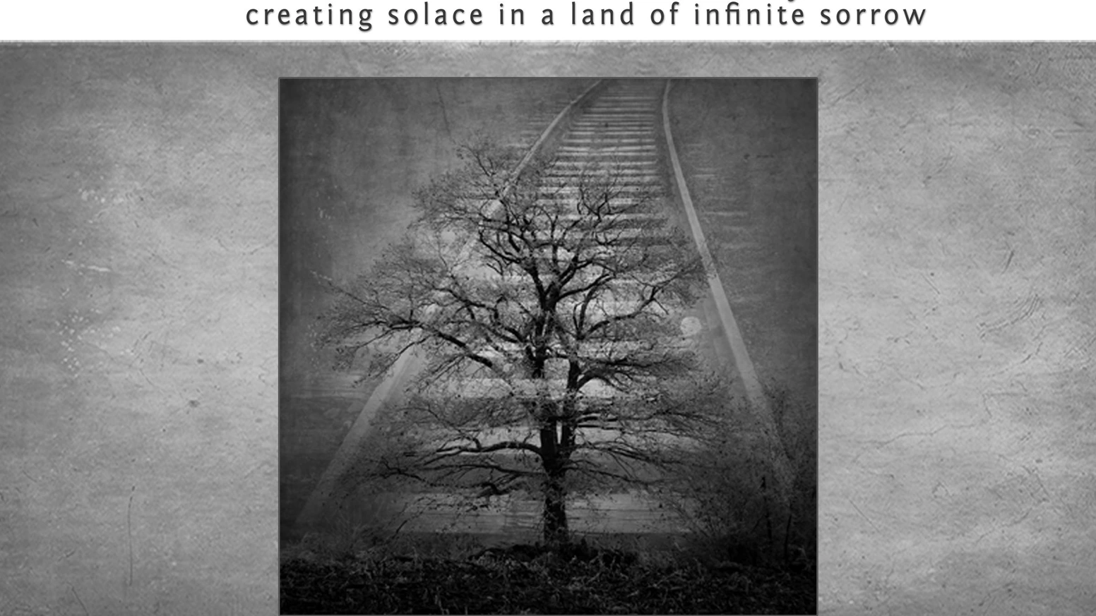 72人支持的艺术项目，如何筹得2.5万美元？