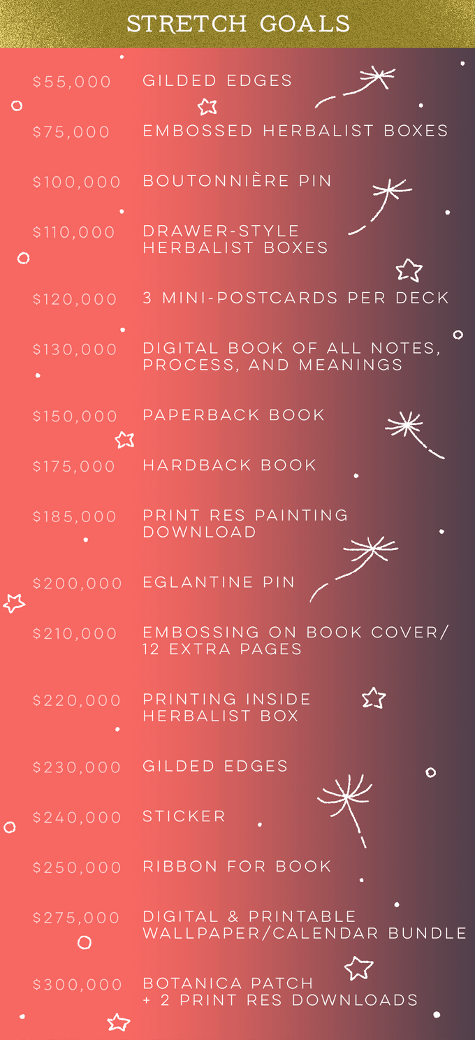 用花朵占卜，他们筹了73万美元