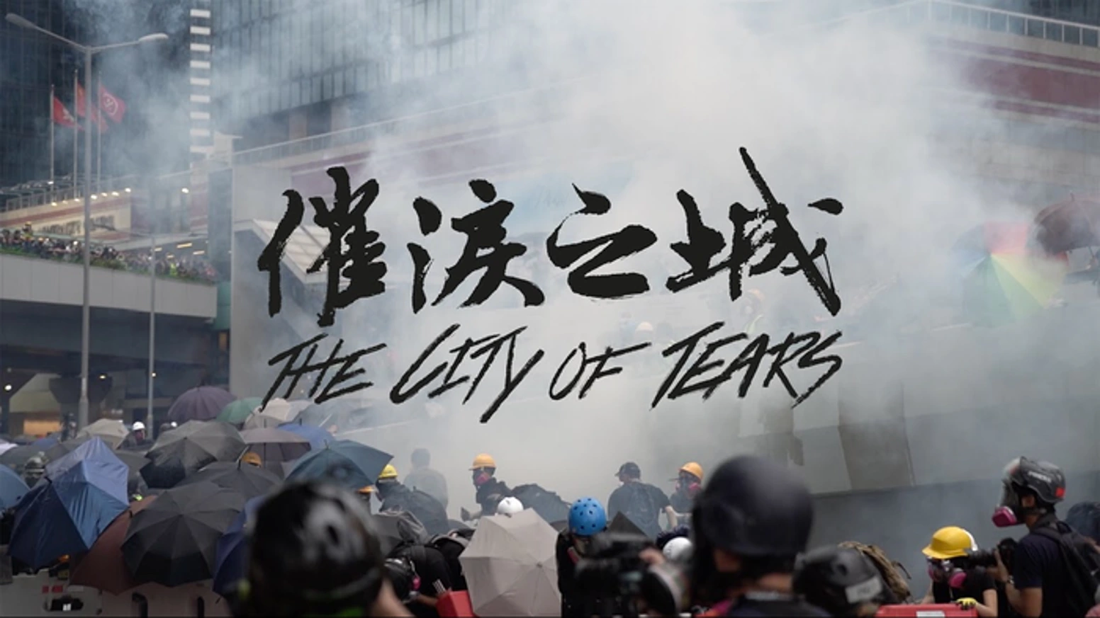 一部纪录片如何引爆全球31,536人的支持狂潮