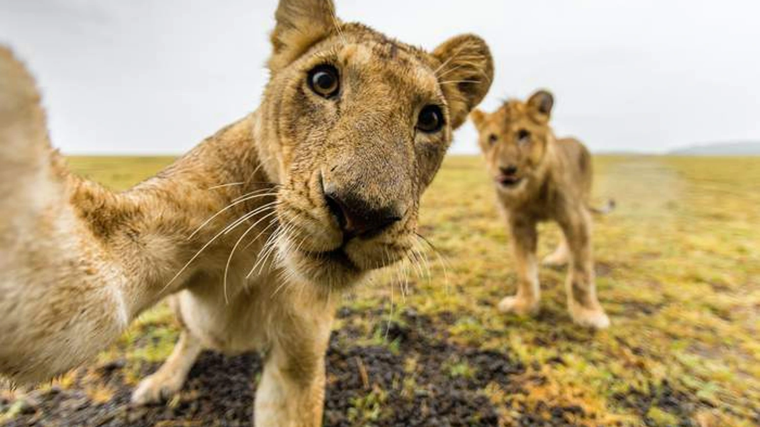 一本摄影集如何用“故事”撬动102位支持者