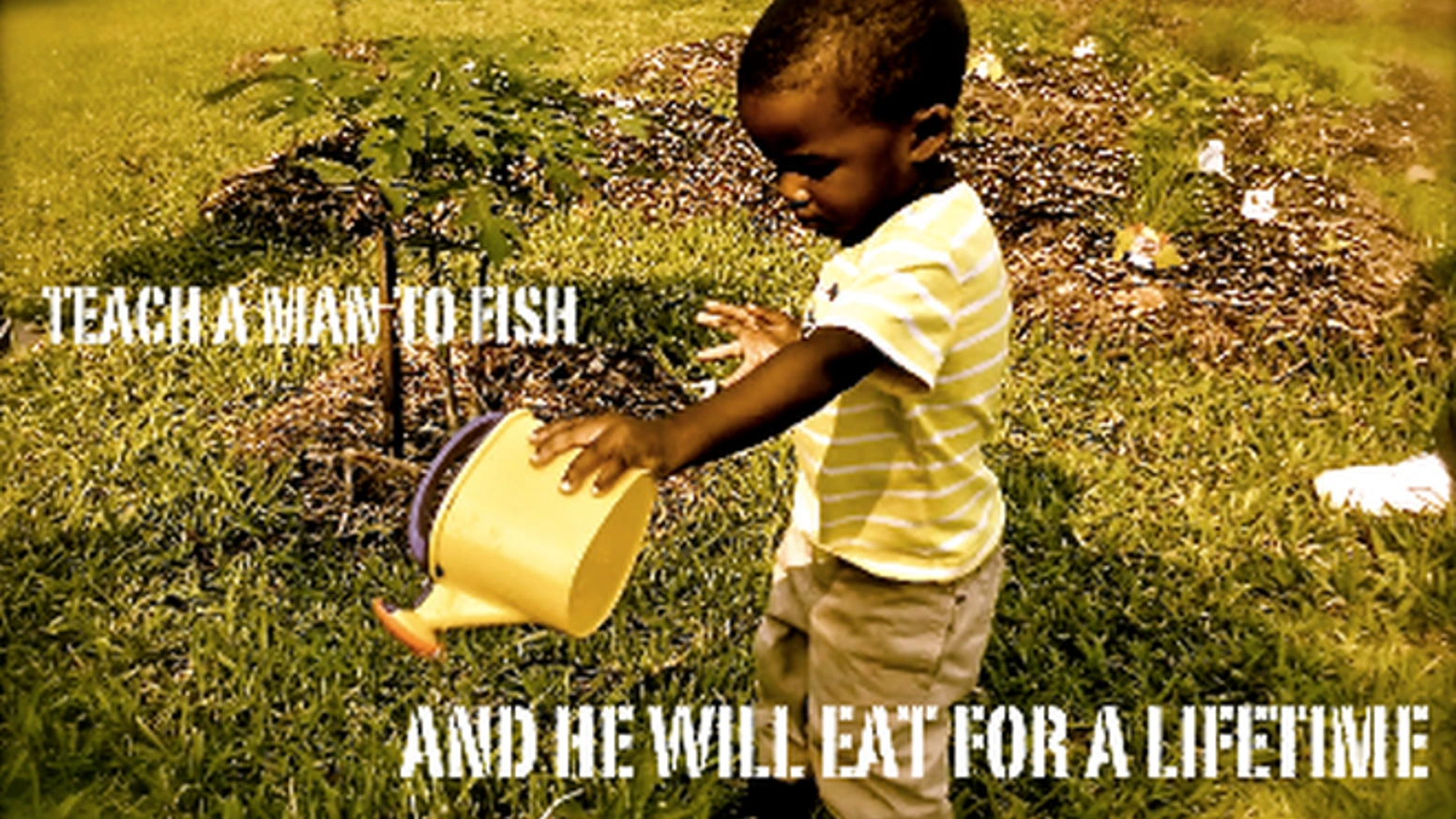 一个NFL球员如何用999人种出一个社区花园