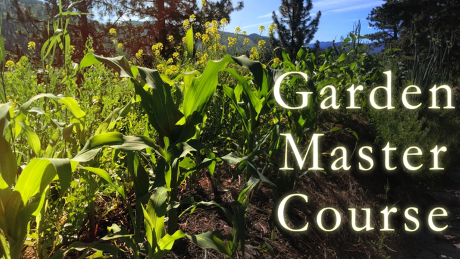 园艺大师课如何用35小时视频狂揽17万美元