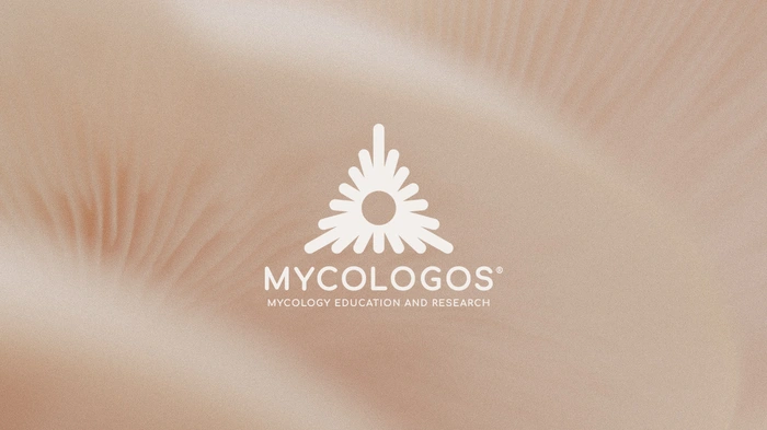 真菌学在线教育如何募得11万美元？