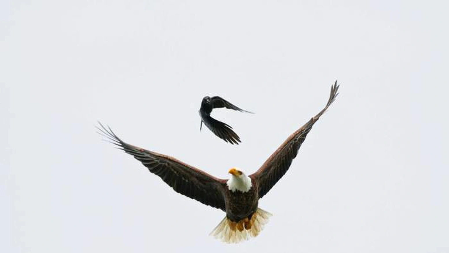 一本摄影集如何靠“无处之地”筹得近7万美元